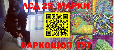 индика Тулун
