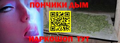 индика Тулун