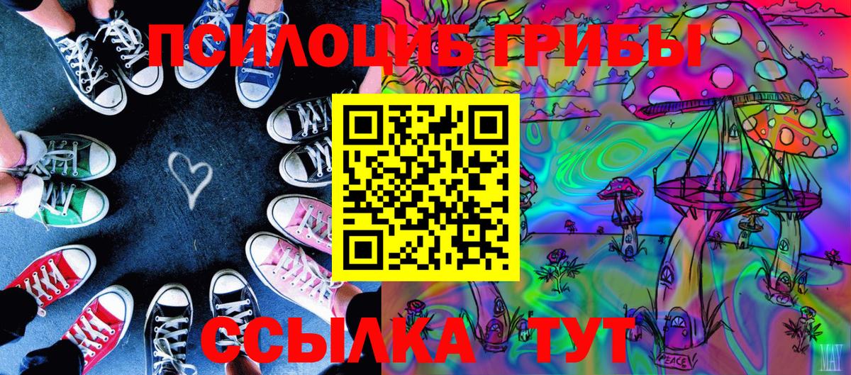 Псилоцибиновые грибы Psilocybine cubensis Надым